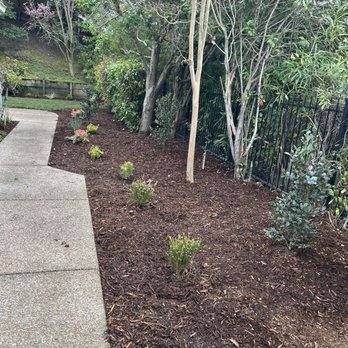 Vince's Landscaping - Landscaping Near Me - Martinez, California