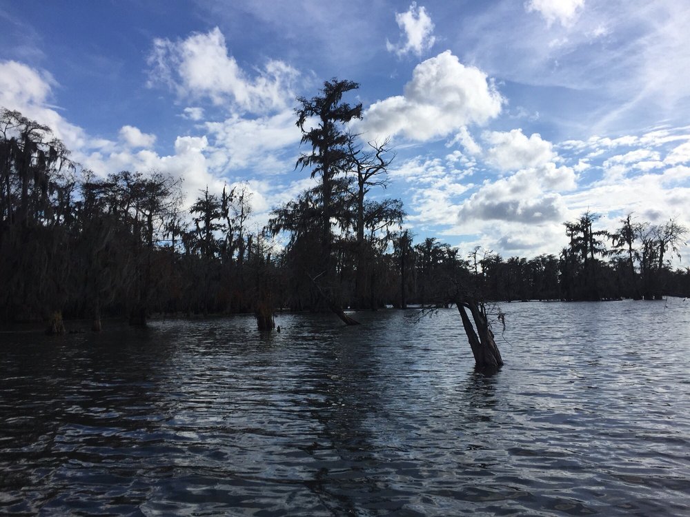 Bayou Teche Experience