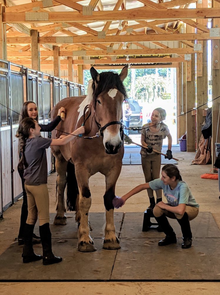 BRINDLE RIDGE FARMS Updated September 2024 53 Photos 3000 NW