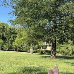 Dogwood park - My view under my tree. :)