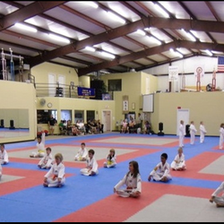 Icon Martial Arts - 15,000 square foot facility