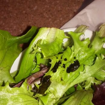Nevada Diner Restaurant - Rotten salad!!!!! - Diners Near Me - Bloomfield, New Jersey