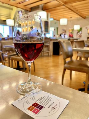 Vino Volo by null