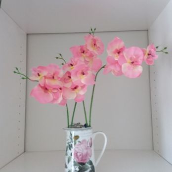 Daiso - Double pink orchids from Daiso in mug from Home Goods. - Discount Store Near Me - San Diego, California Daiso - Double pink orchids from Daiso in mug from Home Goods. - Discount Store Near Me - San Diego, California