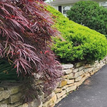 Clean Cut Landscape Services - Tree Services Near Me - Bridgewater, New Jersey Clean Cut Landscape Services - Tree Services Near Me - Bridgewater, New Jersey
