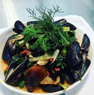 Jessie's Harvest House Restaurant by null