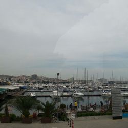 Bebek Balıkçı