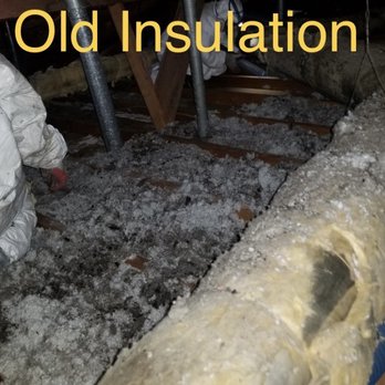 Attic Green - Old insulation, dirty... - Insulation Installation Near Me - Concord, California