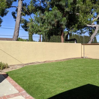 Environmental Green Tree Care - After - Tree Services Near Me Environmental Green Tree Care - After - Tree Services Near Me