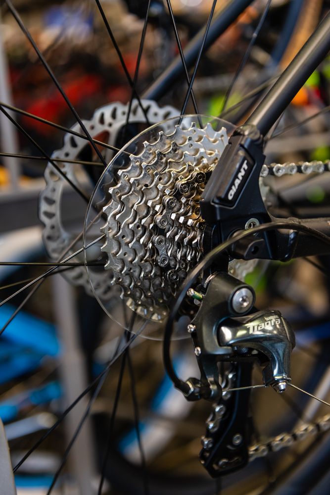 Freehub Bicycles Logo