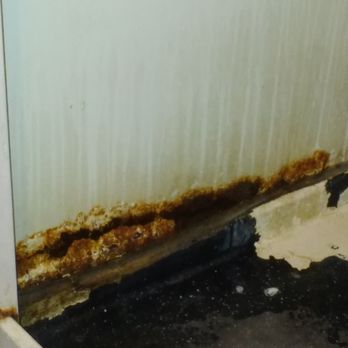 Lazy Days Motel - Shower in cabin 1 nearly rusted through and black mold - Hotels Near Me - Branch, Michigan Lazy Days Motel - Shower in cabin 1 nearly rusted through and black mold - Hotels Near Me - Branch, Michigan