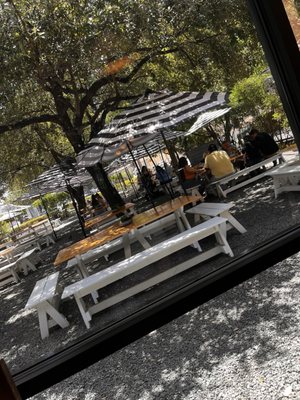 Down on Grayson by null