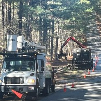 Arbor Equity - Trees in the way for repaving or road widening? We will make them disappear! - Tree Services Near Me - Greensboro, Georgia Arbor Equity - Trees in the way for repaving or road widening? We will make them disappear! - Tree Services Near Me - Greensboro, Georgia