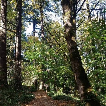 Forest Park - Parks Near Me - Portland, Oregon