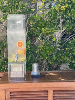 Encanto Beach Club Bar & Grill by null