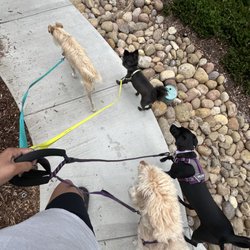 Fetch & Flight