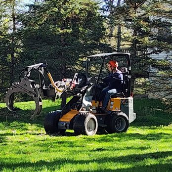 Galvez Tree Service - When they got to the really heavy stuff they brought out.... DA CRAWwwww!! - Tree Services Near Me - Holmes, New York Galvez Tree Service - When they got to the really heavy stuff they brought out.... DA CRAWwwww!! - Tree Services Near Me - Holmes, New York