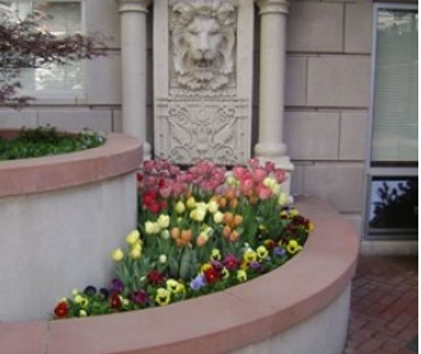 CURRIER LANDSCAPING COMPANY 17 Photos Medfield, Massachusetts