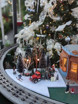 Volunteer Park Conservatory by null