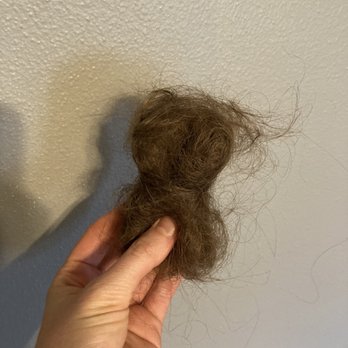 G Spot Hair Design - The hair I lost :( - Hair Salons Near Me - Des Moines, Iowa G Spot Hair Design - The hair I lost :( - Hair Salons Near Me - Des Moines, Iowa