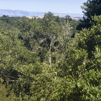 Huddart County Park - Parks Near Me - Woodside, California