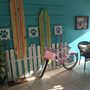 Photo of Salty Dog Grooming