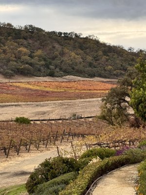 Clos LaChance Winery by null