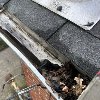 Lee Tree Service - I clean gutters also. $100 special - Tree Services Near Me Lee Tree Service - I clean gutters also. $100 special - Tree Services Near Me
