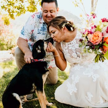 Wise Photography - Wise Photography - Event Photography Near Me Wise Photography - Wise Photography - Event Photography Near Me