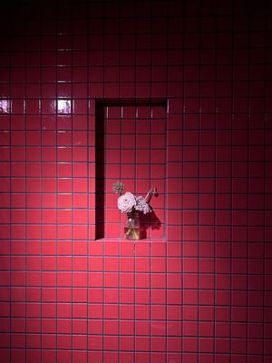 Céleste by null