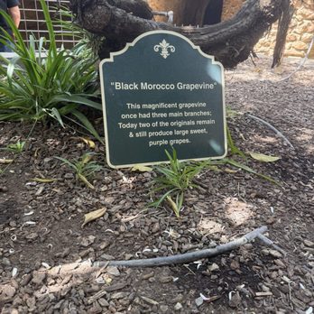 Forestiere Underground Gardens - Botanical Gardens Near Me - Fresno, California