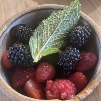Bearcat CBD - Coffee & Tea Near Me - New Orleans, Louisiana