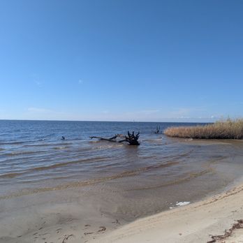 Fontainebleau State Park - Parks Near Me - Mandeville, Louisiana
