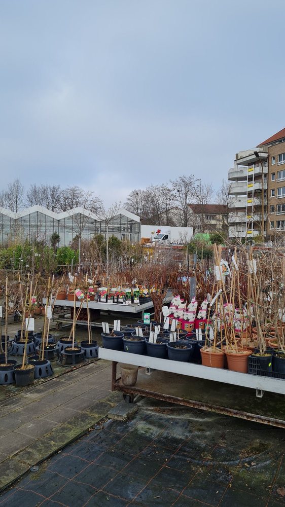 Bilker Gartencenter Gmbh Fleher Straße Düsseldorf BILKER GARTENCENTER - 11 Photos - Fleher Str. 121, Düsseldorf