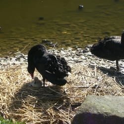 Zoo im Brückenkopfpark