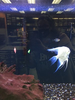 Lucky Chinese Food by null