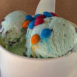Mint Chocolate Chip Mint Chocolate Chip