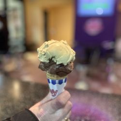 Uncle Ray's Dairyland - Pumpkin and chocolate fudge brownie