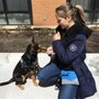 Photo of HighPaw Dog Training