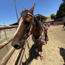 Sweetwater Ranch & Carriage Company