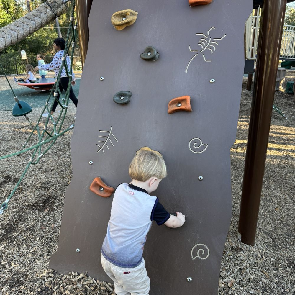 Clarke House Park - Easy to climb rock wall. - Parks Near Me - Orange Park, Florida