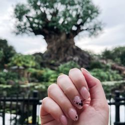 Happy Nails - Disney Nails at Animal Kingdom!
