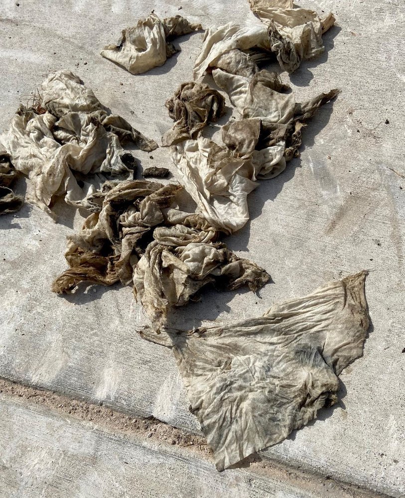 Slide of Moonlight Plumbing