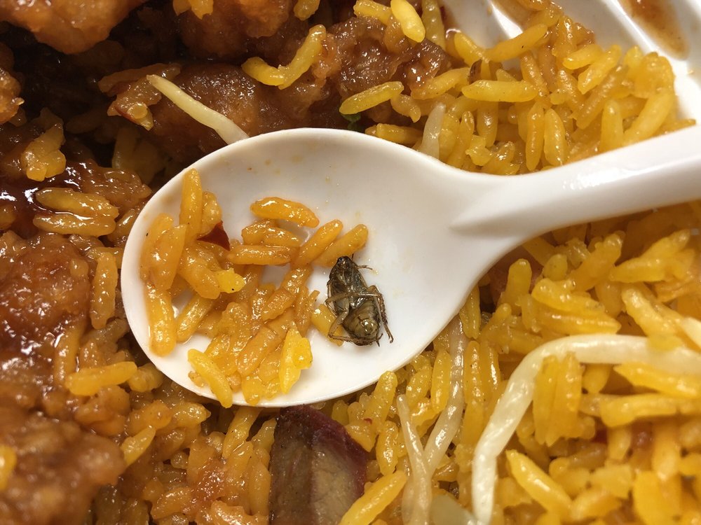 Food King Express Chino 658 Motor Pkwy Bwood Ny Estados Chino 658 Motor Pkwy Bwood Ny