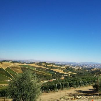 DAOU Vineyards - Valley of vineyards - Wineries Near Me - Paso Robles, California