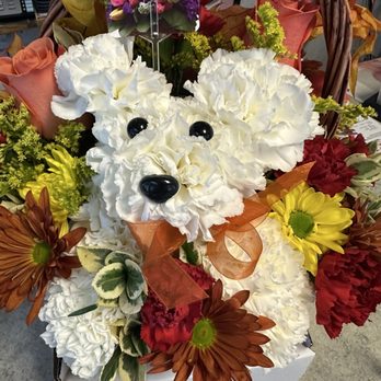 Bloomers Flowers & Gifts - Amazing doggie bouquet basket - Florists Near Me - Campbell, California