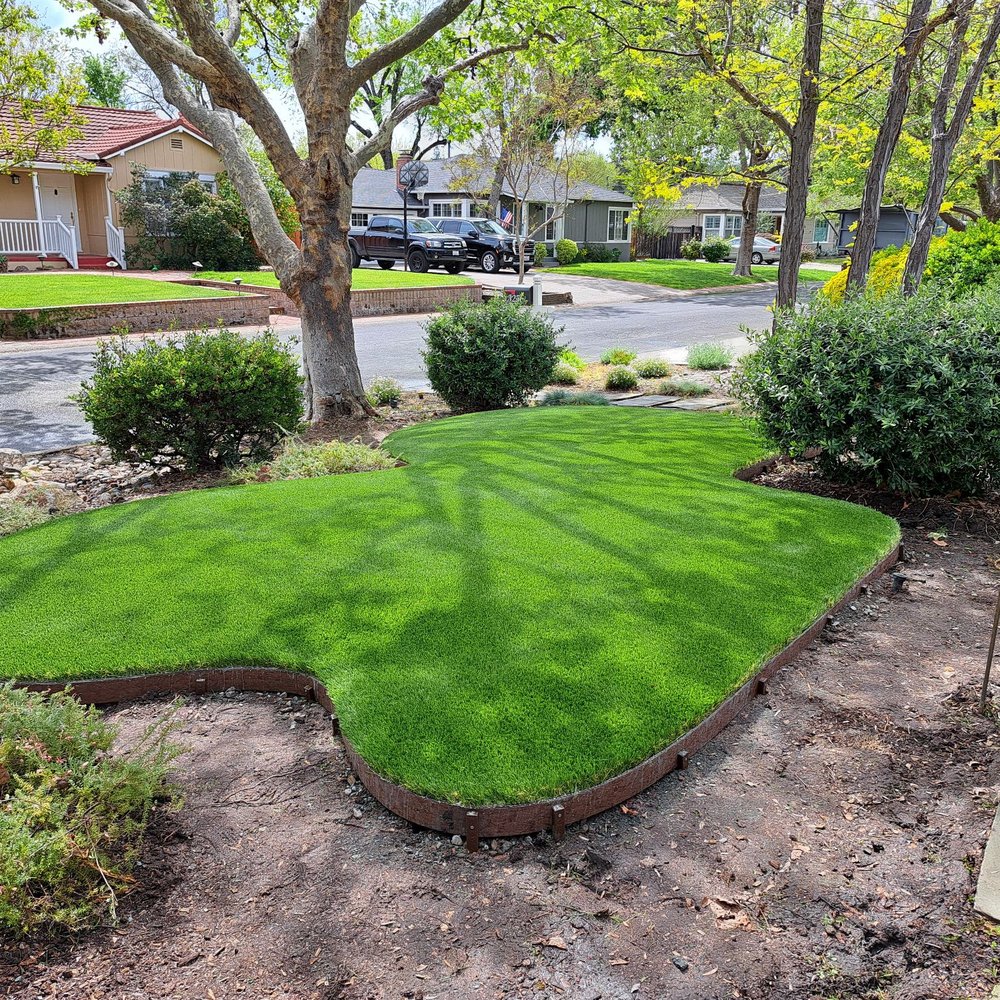 Onelawn - Finished product@ - Artificial Turf Near Me - San Lorenzo, California Onelawn - Finished product@ - Artificial Turf Near Me - San Lorenzo, California