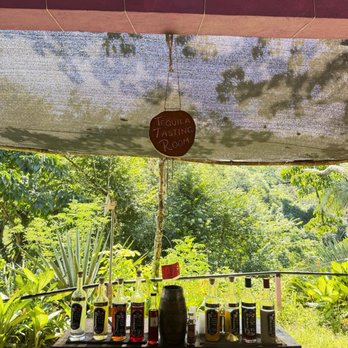 Estigo Tours - ATV Rentals/Tours Near Me - Puerto Vallarta, JAL