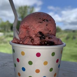 Chocolate Chip Ice Cream