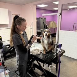 Earth Pets Holistic Pet Spa